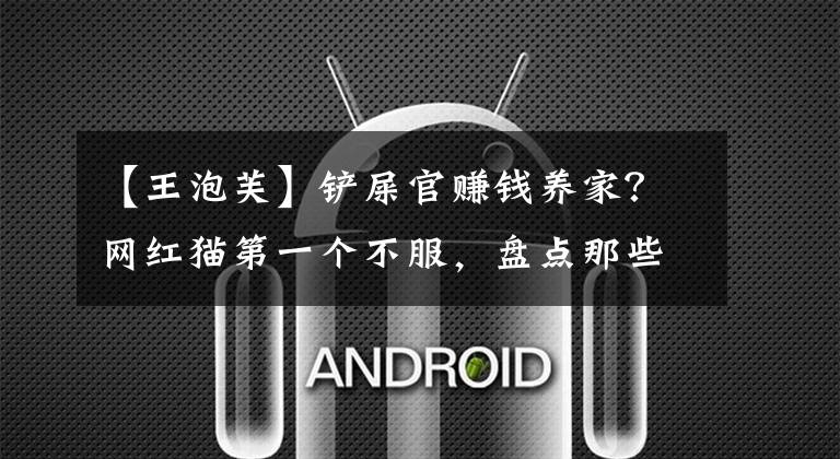 【王泡芙】铲屎官赚钱养家？网红猫第一个不服，盘点那些火遍全网的小猫咪们