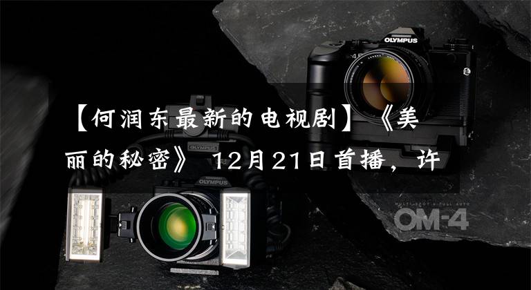 【何润东最新的电视剧】《美丽的秘密》 12月21日首播,许隆东宋其恩,上演浪漫爱情