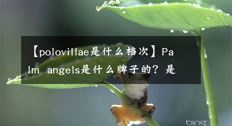 【polovillae是什么档次】Palm angels是什么牌子的？是意大利高端潮流服装品牌。