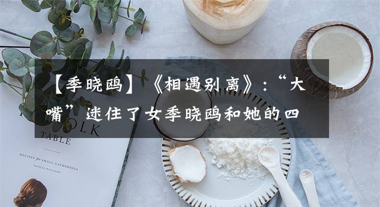 【季晓鸥】《相遇别离》:“大嘴”迷住了女季晓鸥和她的四个帅气男人。