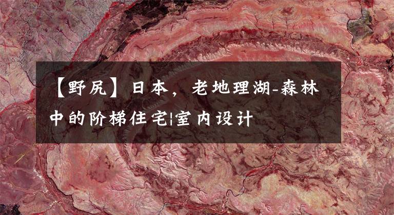 【野尻】日本，老地理湖-森林中的阶梯住宅|室内设计