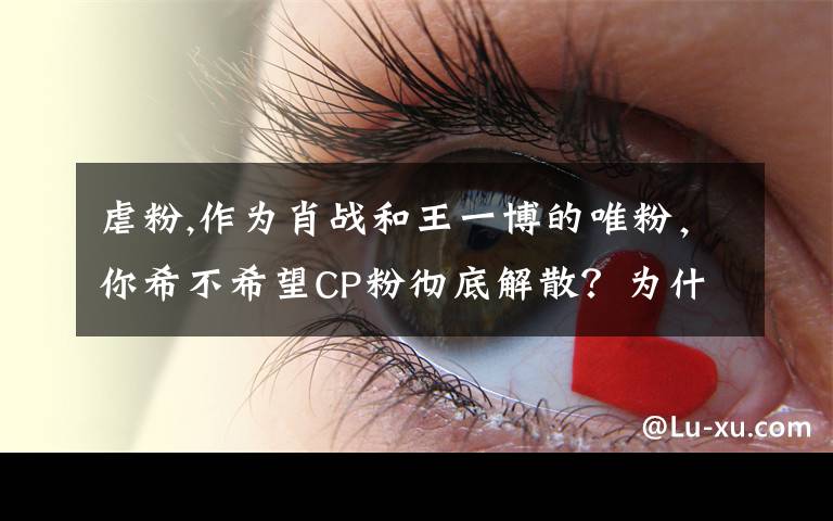 虐粉,作为肖战和王一博的唯粉,你希不希望CP粉彻底解散?为什么?