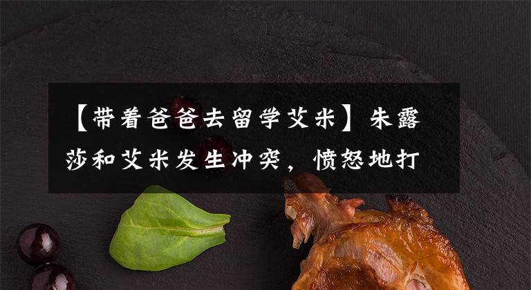 【带着爸爸去留学艾米】朱露莎和艾米发生冲突,愤怒地打了一巴掌,这次完全孤立了