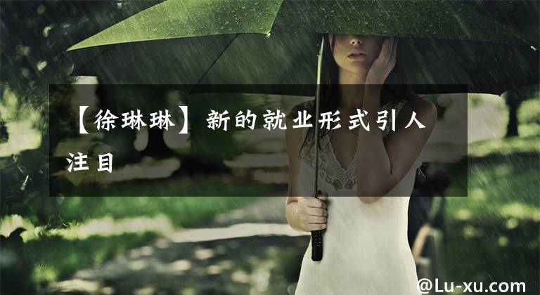 【徐琳琳】新的就业形式引人注目