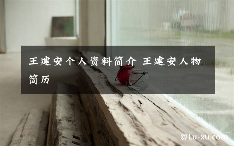 王建安个人资料简介 王建安人物简历