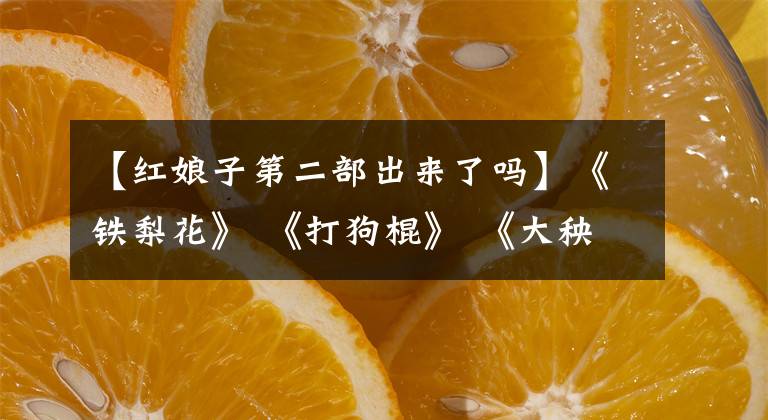 【红娘子第二部出来了吗】《铁梨花》 《打狗棍》 《大秧歌》 《勇敢的心》导演郭靖伟：不买收视率的制作人，直接写剧本的导演。