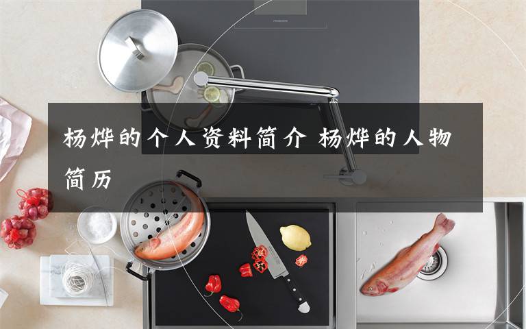 杨烨的个人资料简介 杨烨的人物简历