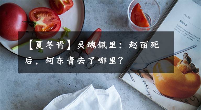 【夏冬青】灵魂佩里：赵丽死后，何东青去了哪里？
