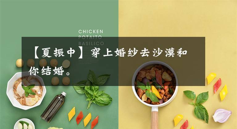 【夏振中】穿上婚纱去沙漠和你结婚。