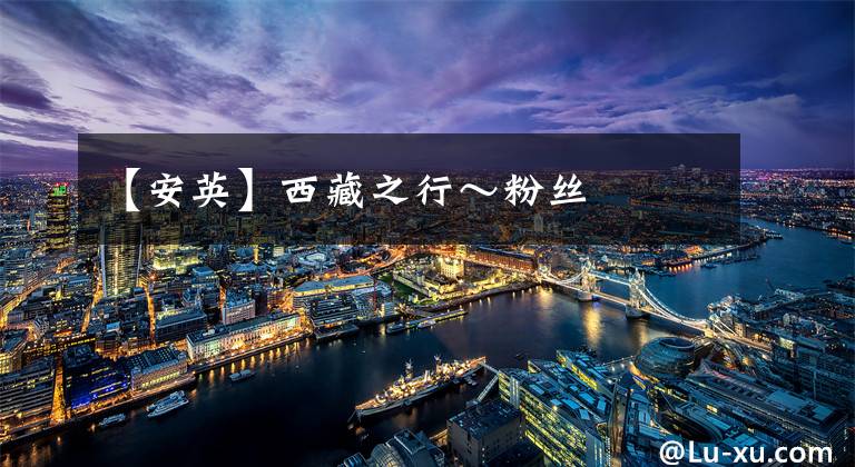 【安英】西藏之行～粉丝