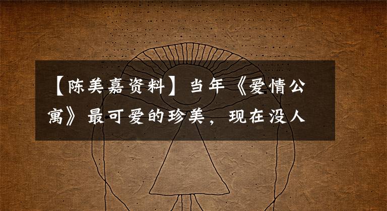 【陈美嘉资料】当年《爱情公寓》最可爱的珍美，现在没人问了