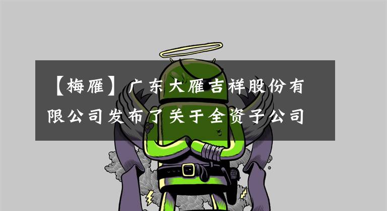 【梅雁】广东大雁吉祥股份有限公司发布了关于全资子公司玛吉安矿业有限公司矿业权及资产租赁经营的公告。