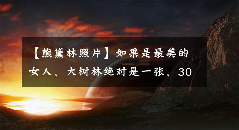 【熊黛林照片】如果是最美的女人,大树林绝对是一张,30张照片是最好的证据