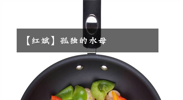 【红斌】孤独的水母