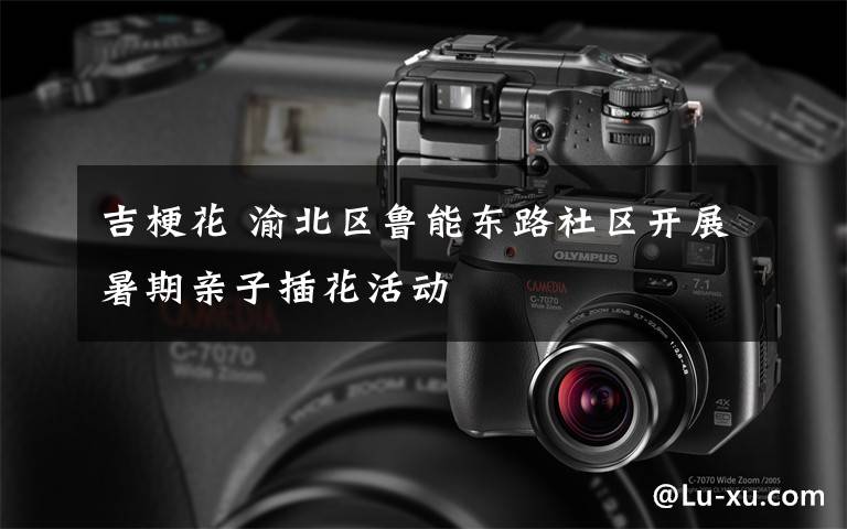 吉梗花 渝北区鲁能东路社区开展暑期亲子插花活动