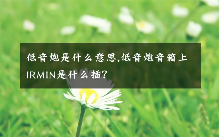 低音炮是什么意思,低音炮音箱上IRMIN是什么插？