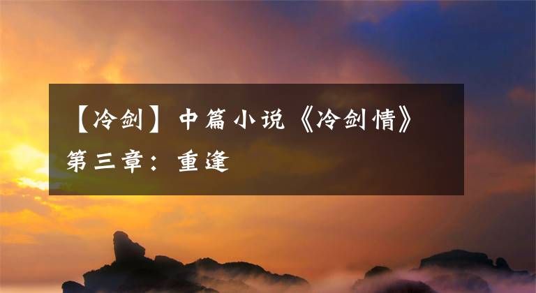 【冷剑】中篇小说《冷剑情》第三章：重逢