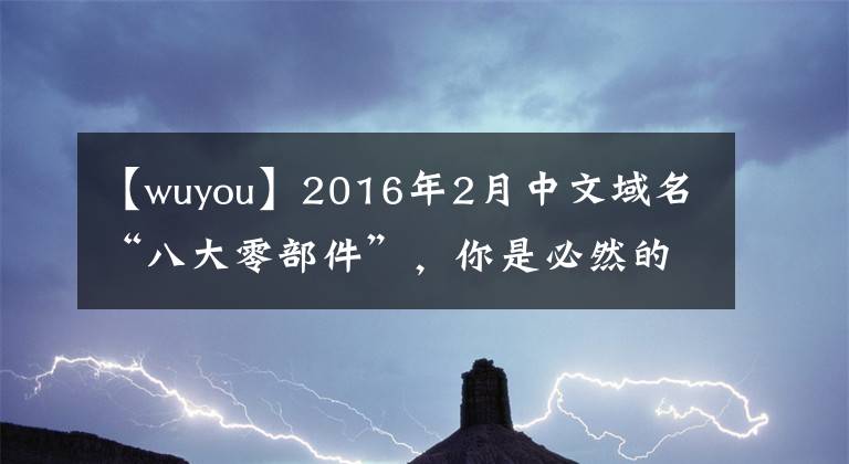 【wuyou】2016年2月中文域名“八大零部件”,你是必然的吗?