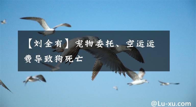 【刘全有】宠物委托、空运运费导致狗死亡