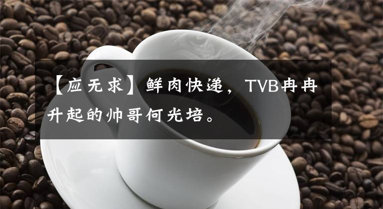【应无求】鲜肉快递,TVB冉冉升起的帅哥何光培。