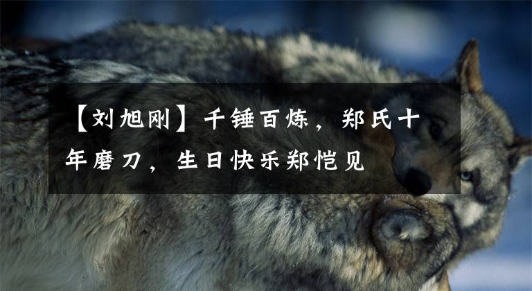 【刘旭刚】千锤百炼,郑氏十年磨刀,生日快乐郑恺见