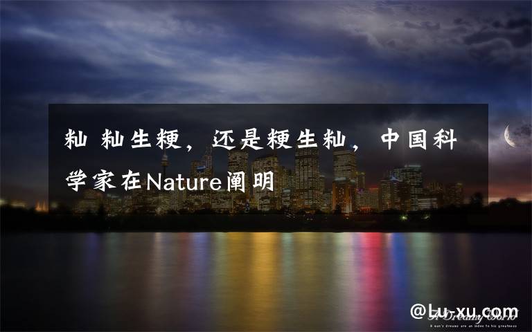 籼 籼生粳,还是粳生籼,中国科学家在Nature阐明