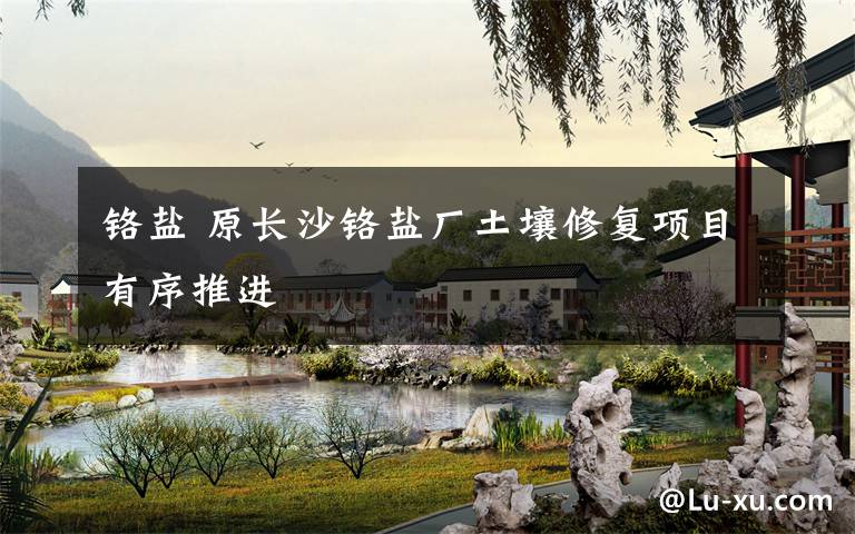 铬盐 原长沙铬盐厂土壤修复项目有序推进