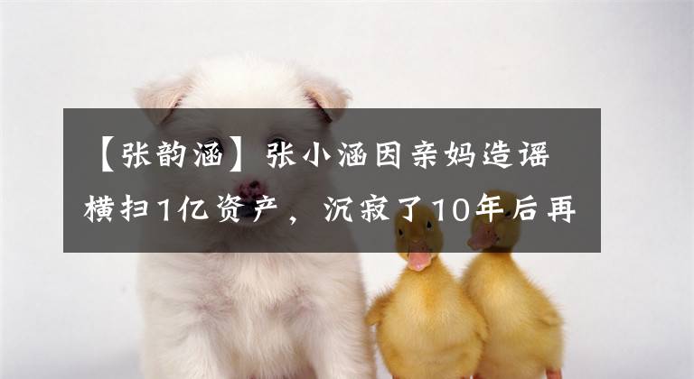 【张韵涵】张小涵因亲妈造谣横扫1亿资产，沉寂了10年后再次站了起来。