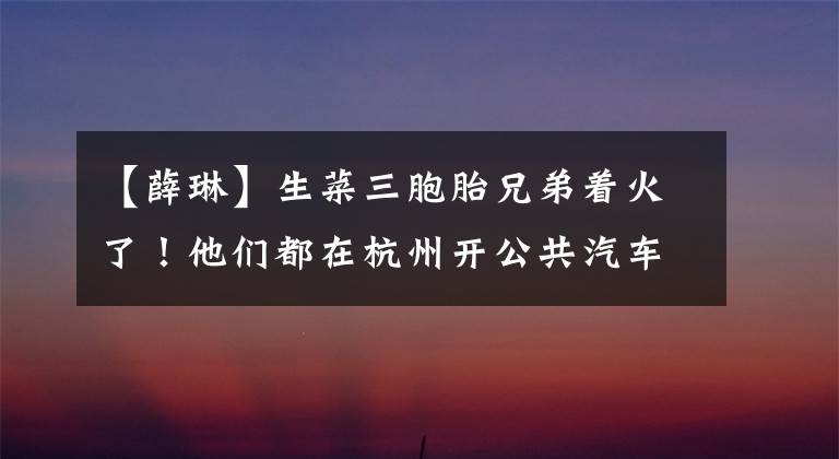 【薛琳】生菜三胞胎兄弟着火了!他们都在杭州开公共汽车
