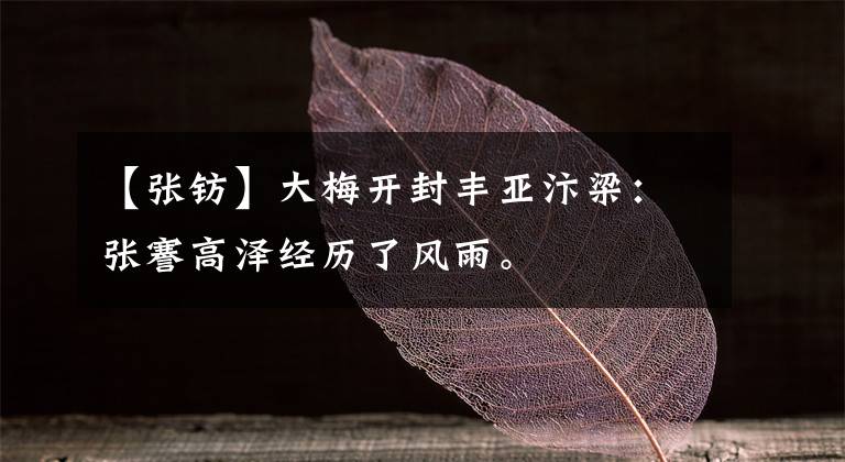 【张钫】大梅开封丰亚汴梁：张謇高泽经历了风雨。