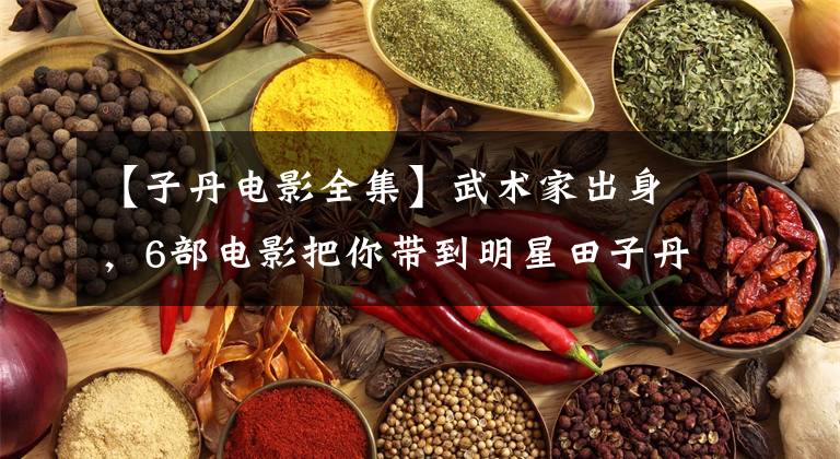 【子丹电影全集】武术家出身,6部电影把你带到明星田子丹世界