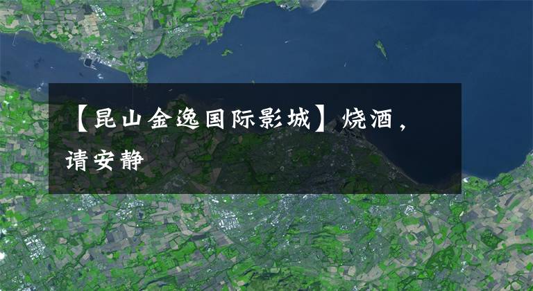 【昆山金逸国际影城】烧酒,请安静