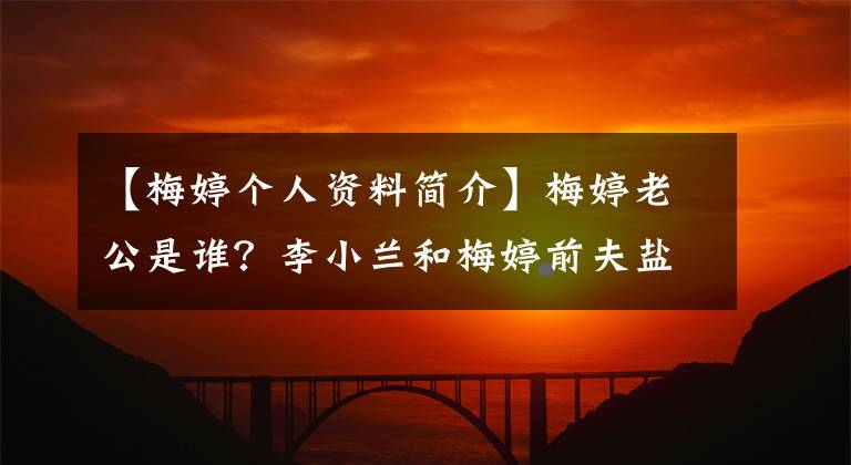 【梅婷个人资料简介】梅婷老公是谁?李小兰和梅婷前夫盐是什么关系?