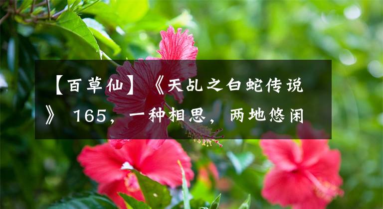 【百草仙】《天乩之白蛇传说》 165,一种相思,两地悠闲的忧虑。