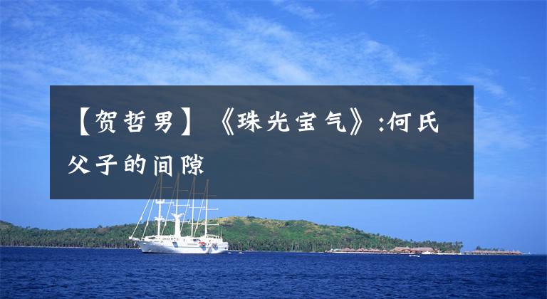 【贺哲男】《珠光宝气》:何氏父子的间隙