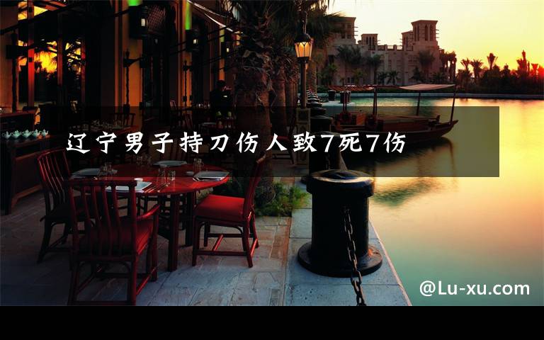 辽宁男子持刀伤人致7死7伤