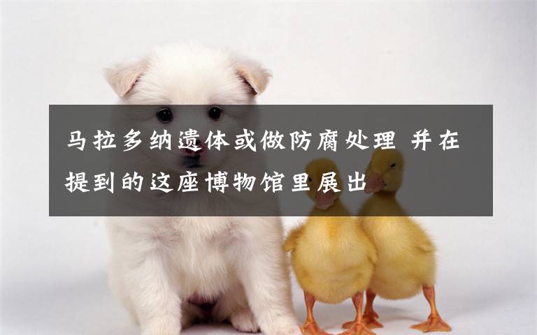 马拉多纳遗体或做防腐处理 并在提到的这座博物馆里展出