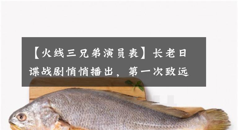 【火线三兄弟演员表】长老日谍战剧悄悄播出,第一次致远联合能否再次得到认可?