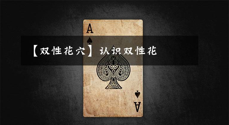 【双性花穴】认识双性花