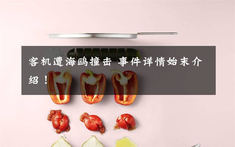 客机遭海鸥撞击 事件详情始末介绍!