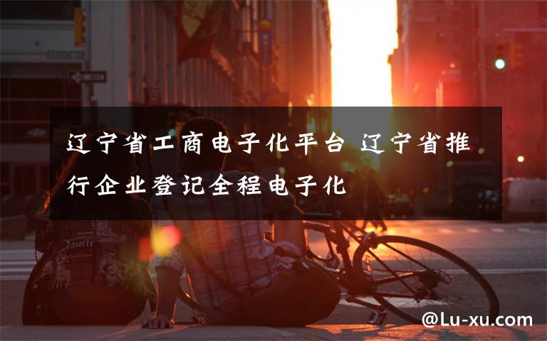 辽宁省工商电子化平台 辽宁省推行企业登记全程电子化