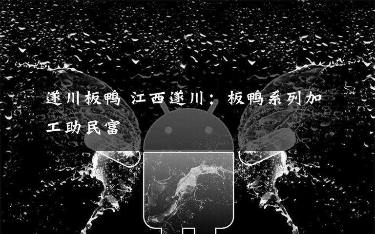 遂川板鸭 江西遂川:板鸭系列加工助民富