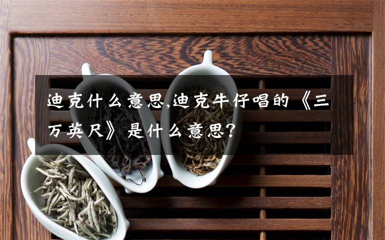 迪克什么意思,迪克牛仔唱的《三万英尺》是什么意思?