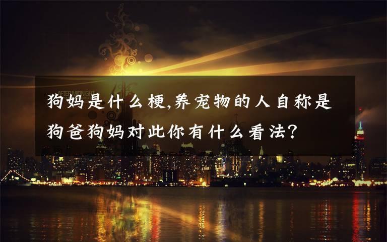 狗妈是什么梗,养宠物的人自称是狗爸狗妈对此你有什么看法？