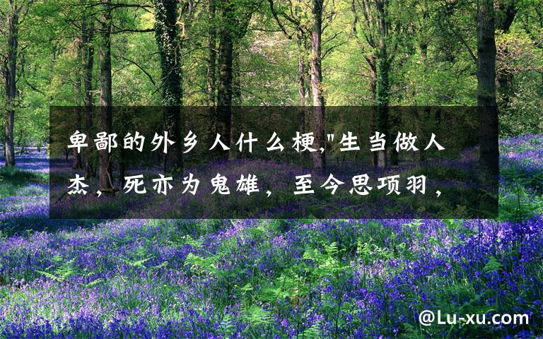 卑鄙的外乡人什么梗,