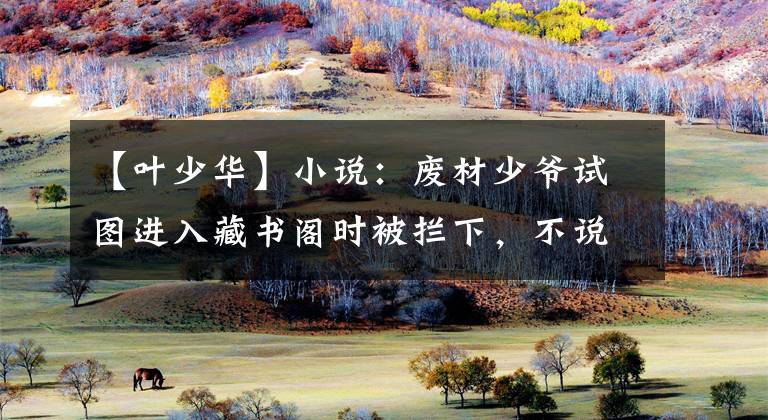 【叶少华】小说：废材少爷试图进入藏书阁时被拦下，不说话就打，殴打开安男