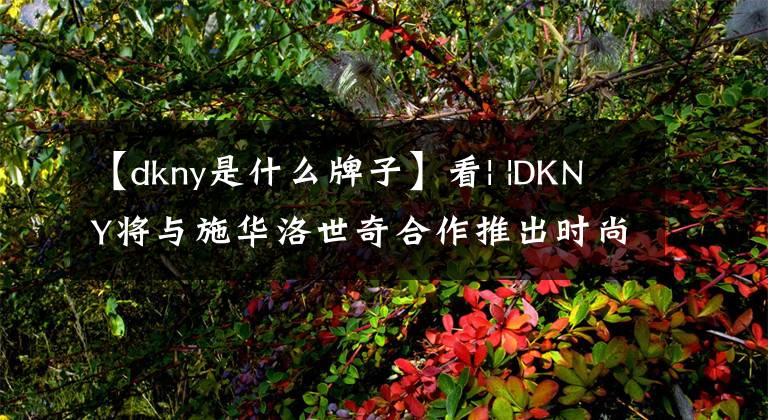 【dkny是什么牌子】看| |DKNY将与施华洛世奇合作推出时尚珠宝系列