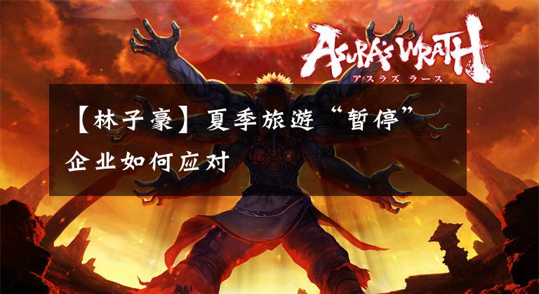 【林子豪】夏季旅游“暂停”企业如何应对