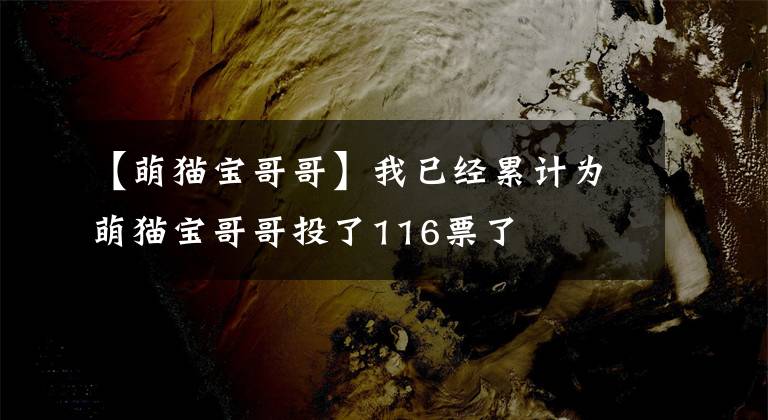 【萌猫宝哥哥】我已经累计为萌猫宝哥哥投了116票了