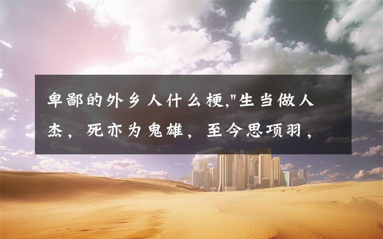 卑鄙的外乡人什么梗,